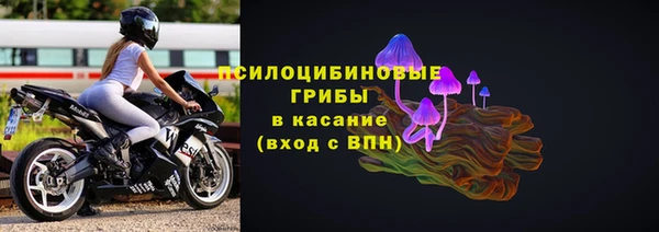 гидра Алексеевка