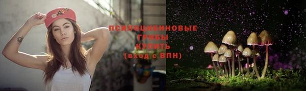 таблы Алексин