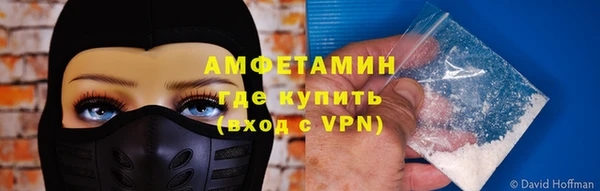 гидра Алексеевка