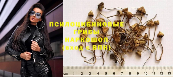 таблы Алексин