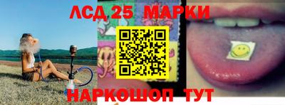 индика Бердск