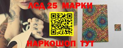 индика Бердск