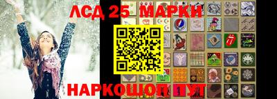 индика Бердск