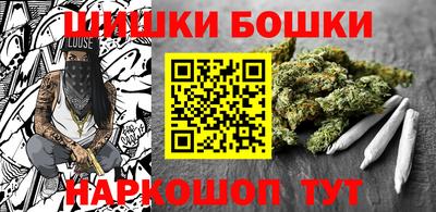 индика Бердск