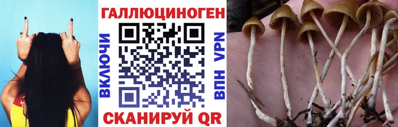 hydra ссылка  Морозовск  Псилоцибиновые грибы Psilocybine cubensis  хочу  