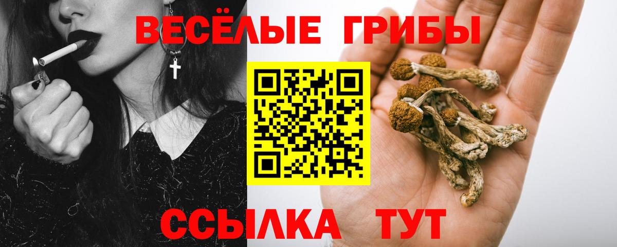 Псилоцибиновые грибы Psilocybine cubensis  Вход с VPN  Морозовск 